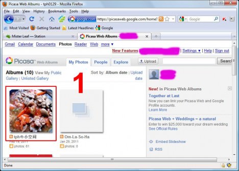Blogspot Photo Picasa Photo Album01
