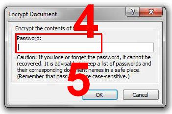 add_microsoft_word_password02