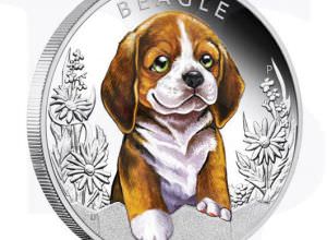 Puppies Silver Coin
