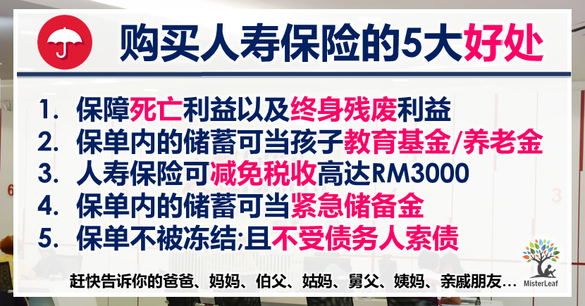 购买人寿保险life Insurance 的5 大好处 Misterleaf